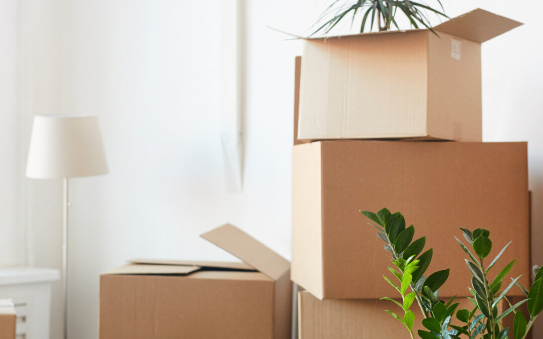 unpacking boxes